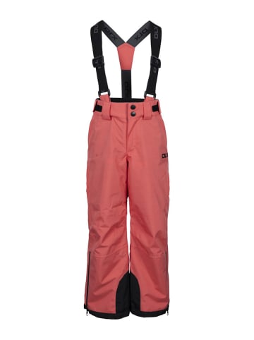 DLX Ski-/ Snowboardhose "Benito" in Orange