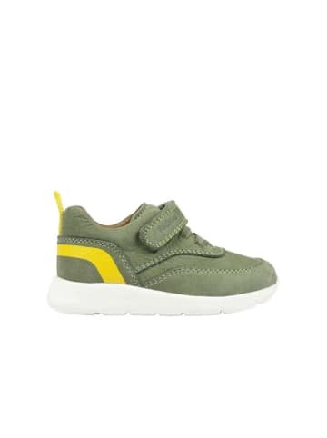 Richter Shoes Skórzane sneakersy w kolorze zielonym