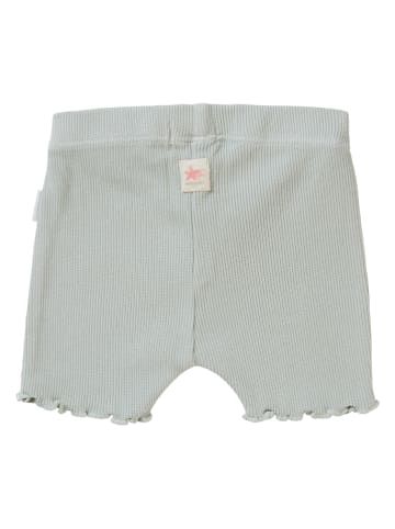 Noppies Shorts "Coachella" in Grau