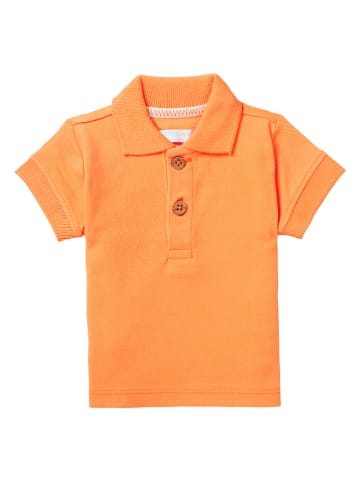 Noppies Poloshirt "Berryville" in Orange