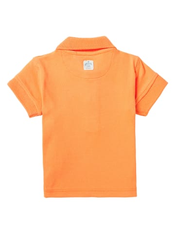 Noppies Koszulka polo "Berryville" w kolorze pomarańczowym