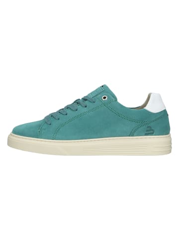 Bullboxer Leder-Sneakers in Mint