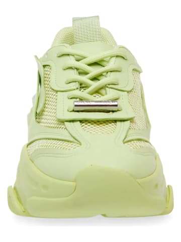 Steve Madden Sneakersy w kolorze limonkowym
