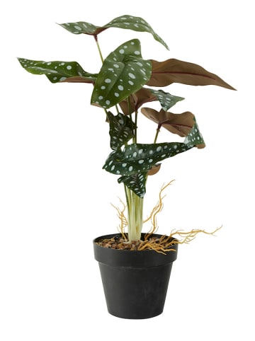 Bahne Kunstplant groen - (H)40 cm