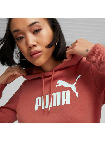 Puma Bluza "ESS" w kolorze czerwonym