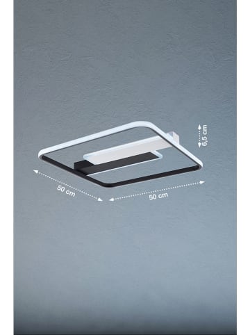 FISCHER & HONSEL Ledplafonnière "Blithe" zwart - (L)50 x (B)50 cm