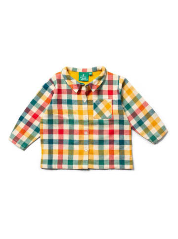 Little Green Radicals Blouse "Rainbow Gold" meerkleurig