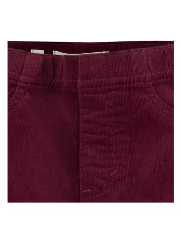 Levi's Kids Hose in Rot
