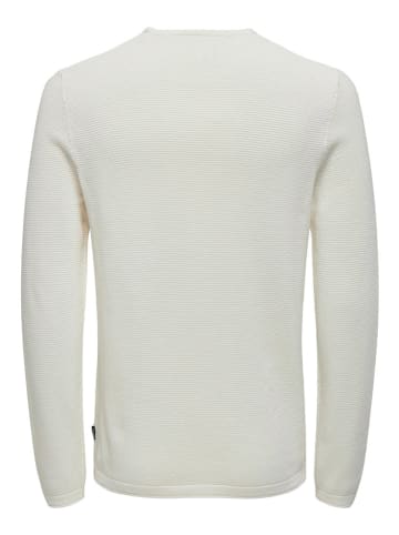 ONLY & SONS Pullover "Panter" in Creme