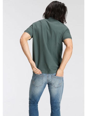 Kangaroos Poloshirt in Grün