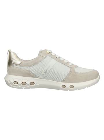 Ara Shoes Sneakers beige/crème/goudkleurig