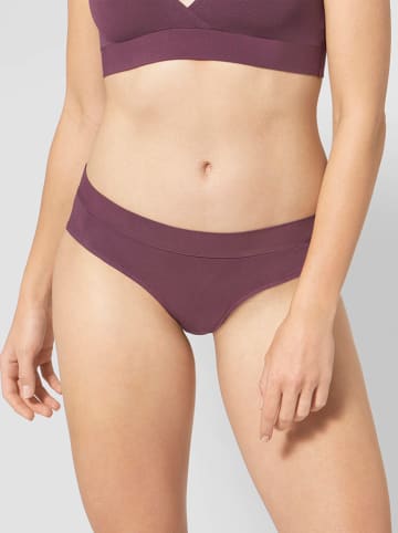 Sloggi Slip in Lila