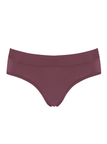 Sloggi Slip in Lila