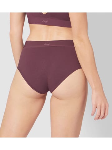 Sloggi Taillenpanty in Braun