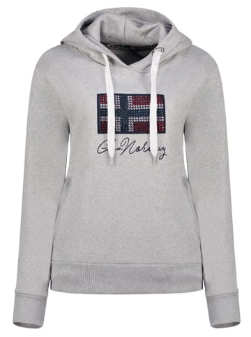 Geographical Norway Bluza "Goisette" w kolorze szarym