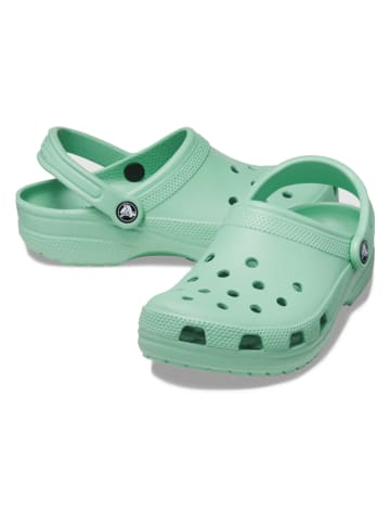 Crocs Crocs in Mint