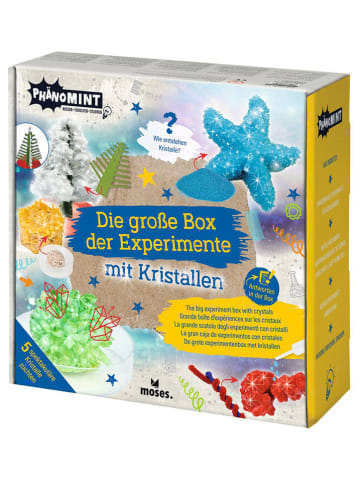 moses. Experimenteerset "Kristallen" - vanaf 8 jaar