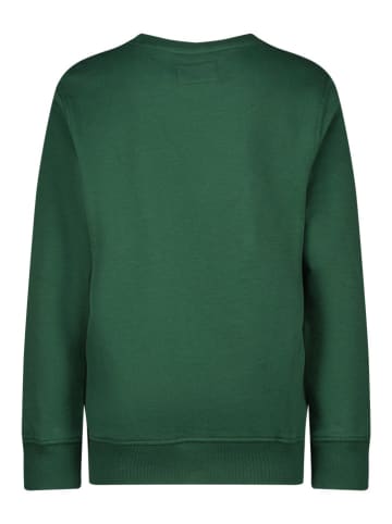 RAIZZED® Sweatshirt "Dundee" in Grün