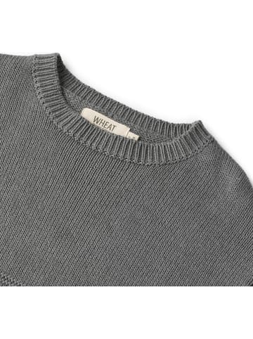 Wheat Pullover "Gunnar" in Grau