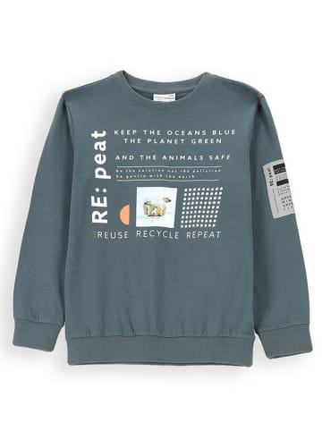 Coccodrillo Sweatshirt in Grau