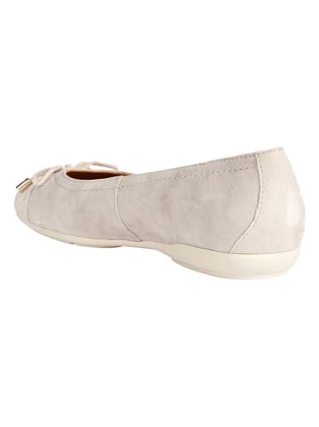 Geox Leren ballerina's "Annytah" taupe