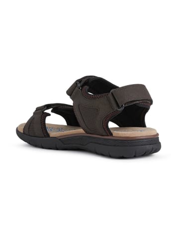 Geox Sandalen "Spherica" in Braun