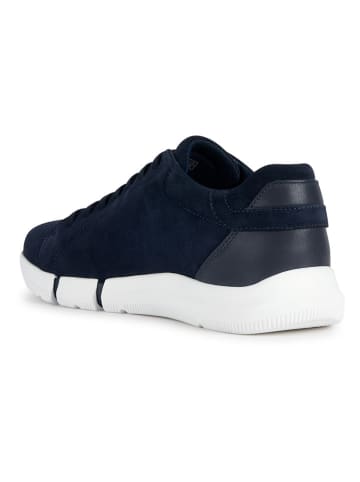 Geox Sneakers "Adacter" in Dunkelblau