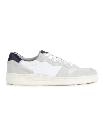 Geox Sneakers "Magnete" in Creme