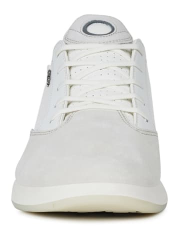 Geox Sneakers "Aerantis" wit