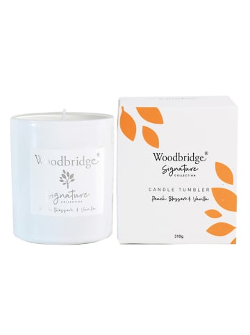 Woodbridge Duftkerze "Peach Blossom & Vanilla" in Weiß - 310 g