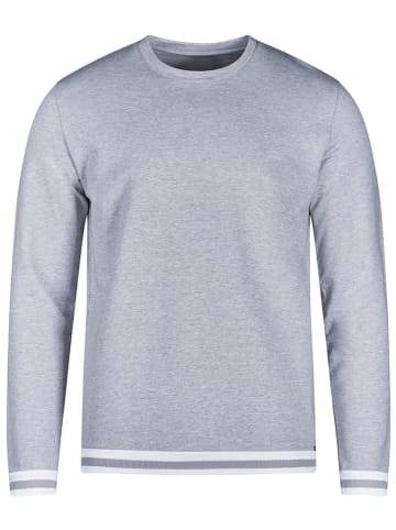 Skiny Sweatshirt in Grau