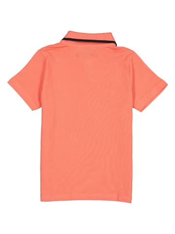 lamino Poloshirt in Orange