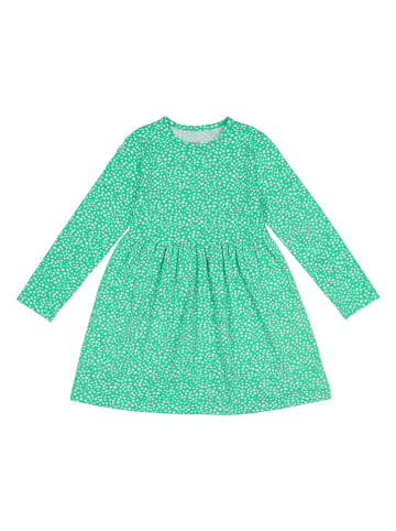 lamino Sukienka w kolorze zielonym