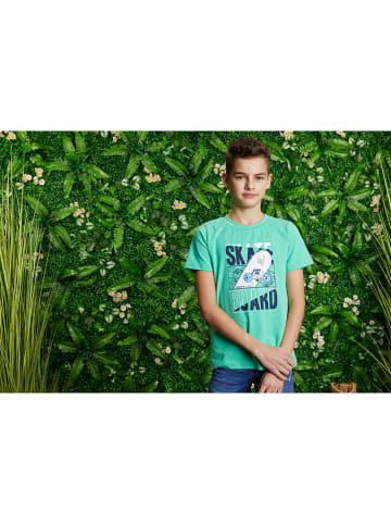 lamino Shirt groen