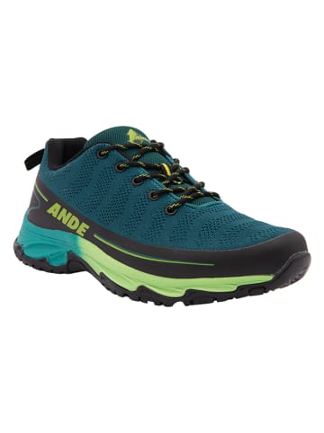 Ande Sneakers "Explorer" donkerblauw/groen