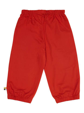 loud + proud Spodnie funkcyjne w kolorze czerwonym