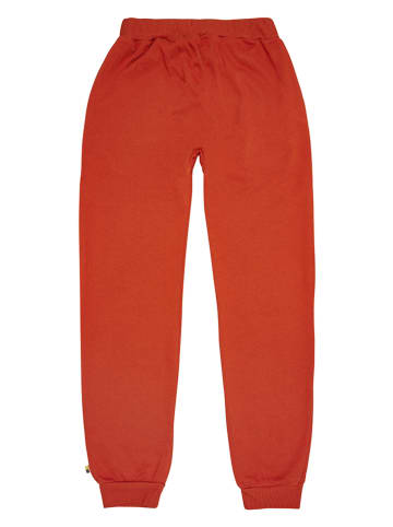 loud + proud Spodnie dresowe w kolorze czerwonym