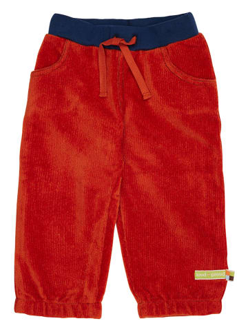 loud + proud Spodnie sztruksowe w kolorze czerwonym