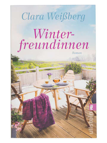 ullstein Roman "Winterfreundinnen"