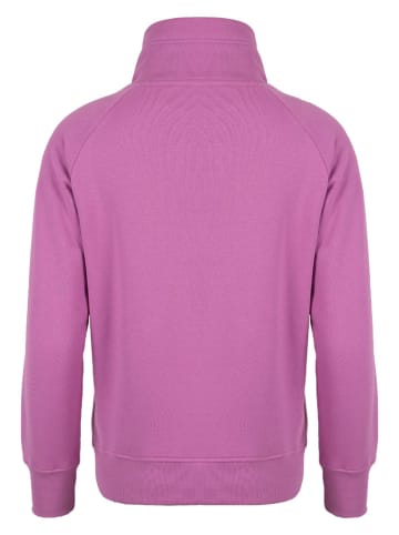 Roadsign Sweatshirt paars