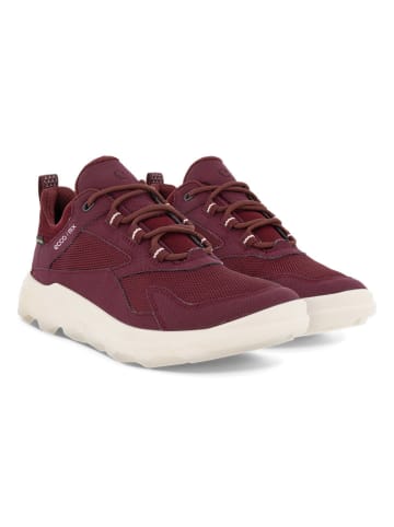 Ecco Sneakers in Bordeaux