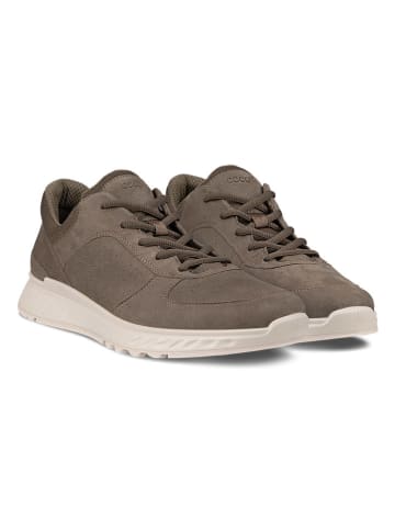 Ecco Leder-Sneakers in Braun