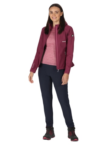 Regatta Softshelljacke "Arec III" in Lila