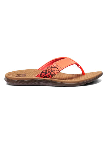 Reef Japonki "Santa Ana" w kolorze pomarańczowym
