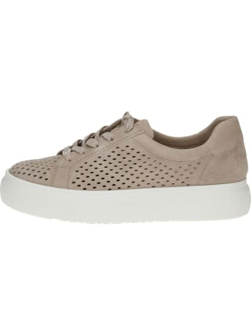 Caprice Leren sneakers beige