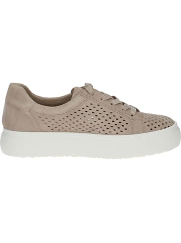 Caprice Leder-Sneakers in Beige