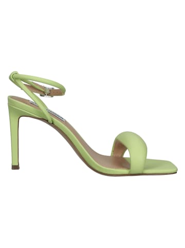 Steve Madden Sandaletten in Grün