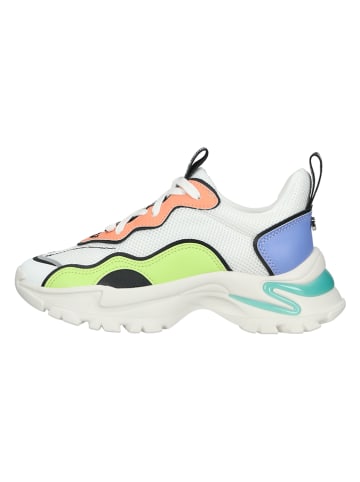 Steve Madden Sneakers meerkleurig