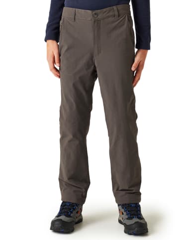 Regatta Functionele broek "Highton" grijs