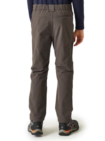 Regatta Functionele broek "Highton" grijs